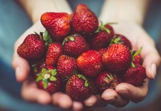 Тези вкусни сладки плодове са деликатес за много от насНе