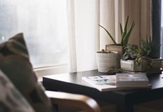 Най лесните за отглеждане растенияОтглеждането на растения е прекрасен природен начин