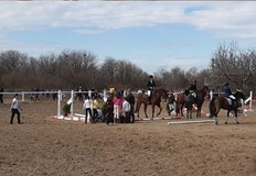 Конни надбягвания ще има на Хиподрума в Русе в събота по случай 12 март Тодоровден Празникът