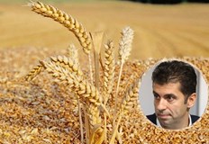 Кирил Петков Държавният резерв започва да изкупува още от днес сериозно