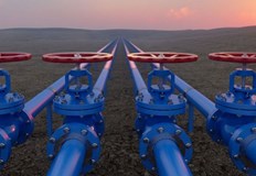 Страната се чувствала тласната в тази посока от европейските политици и