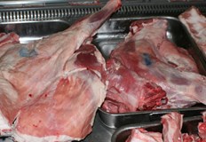 Нов удар за българските овцевъди преди Великден и Гергьовден Стопанства