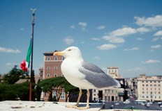 Някои луксозни хотели във Венеция раздават на туристите водни пистолети