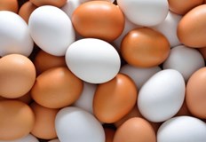 Най големият проблем за птицевъдството е птичият грип каза Ивайло ГълъбовПтицевъдните