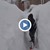 9 метра сняг затрупа град в Турция