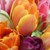 Сериозен скок на цените на цветята в Русе