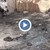 Шофьор изгоря при пожар в колата му в Пловдив