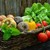 Седем зеленчука, които могат да бъдат опасни за здравето
