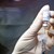 Германия иска ЕС да разреши четвърта доза ваксина срещу КОВИД-19