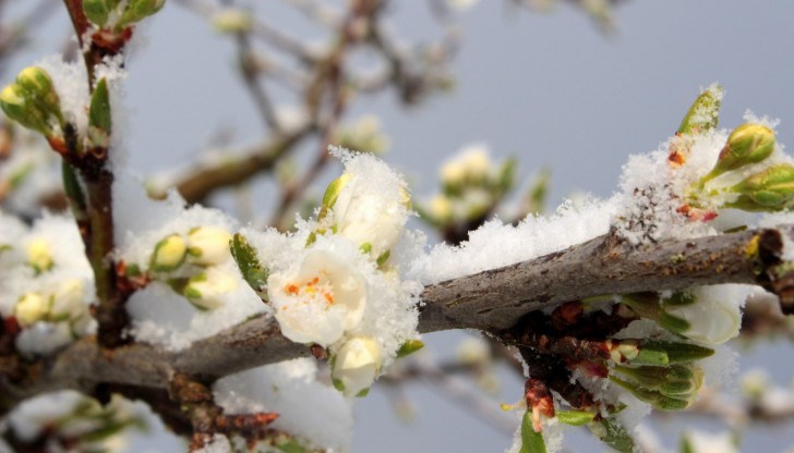 В понеделник срещу вторник се очертава нов напън на зимата