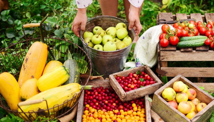 Мирният граждански протест е срещу политиката, която води Министерството на земеделието в сектор "Плодове", заявяват организаторите