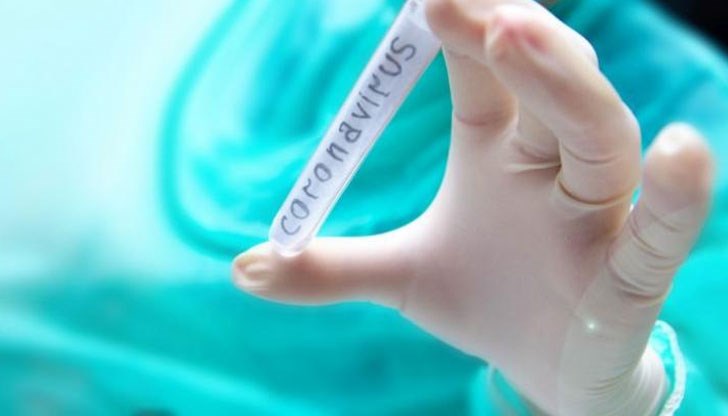 Това са 10,91 процента от направените 15 551 теста Това са 10,91 процента от направените 15 551 теста