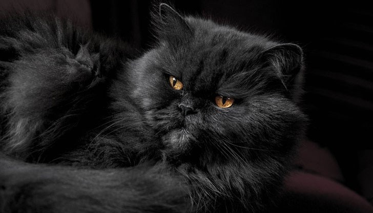 Експерти разкриват на какво да обърнете внимание