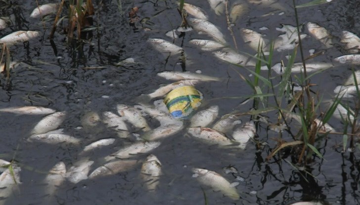 Повреда в тръба на торохранилище е причинила екологичната катастрофа Повреда в тръба на торохранилище е причинила екологичната катастрофа