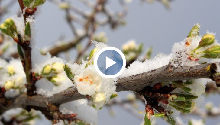 Чак към края на месеца се очаква затопляне
