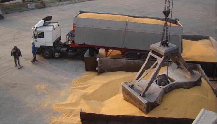 Запасите от пшеница с почти 1 милион тона повече от количеството, което гълта страната за 1 година
