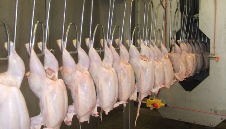 Премахната е забраната за внос на българско птиче месо, продукти и яйчни продукти в Япония