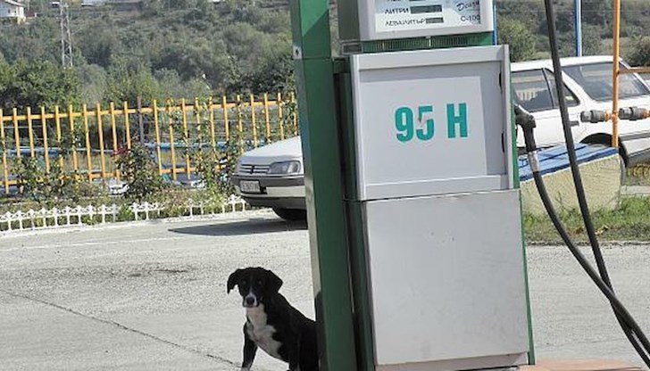 Положителна е новината, че интерконекторът с Гърция ще бъде завършен до септември, смята Васко Начев
