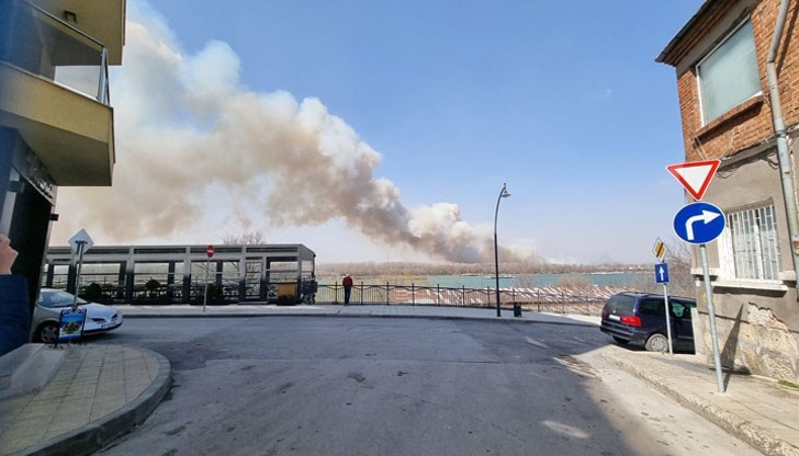 Суха растителност и храсти са изгорели при големия пожар в Гюргево, който се виждаше и от русенския кей