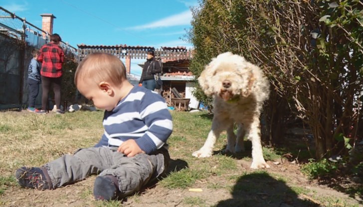 Младо семейство сподели какви са предимствата да живееш в Цалапица