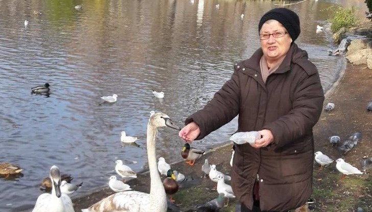 Митева беше председател на Българската асоциация на пенсионерите в Русе Митева беше председател на Българската асоциация на пенсионерите в Русе