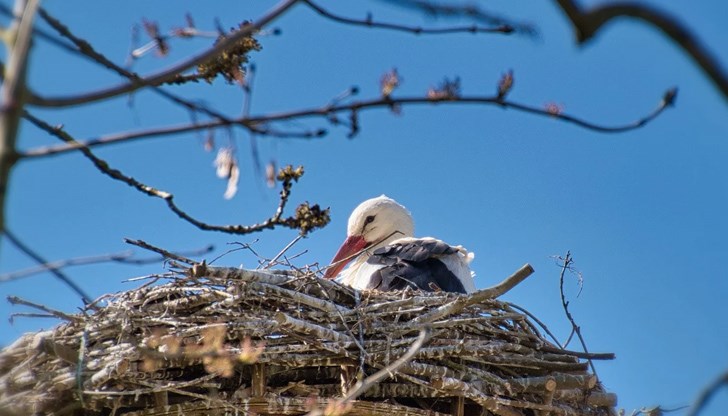 През нощта в цялата страна облачността ще се увеличи и ще нахлуе студен фронт През нощта в цялата страна облачността ще се увеличи и ще нахлуе студен фронт