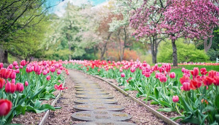 В планините също ще бъде слънчево и топло В планините също ще бъде слънчево и топло