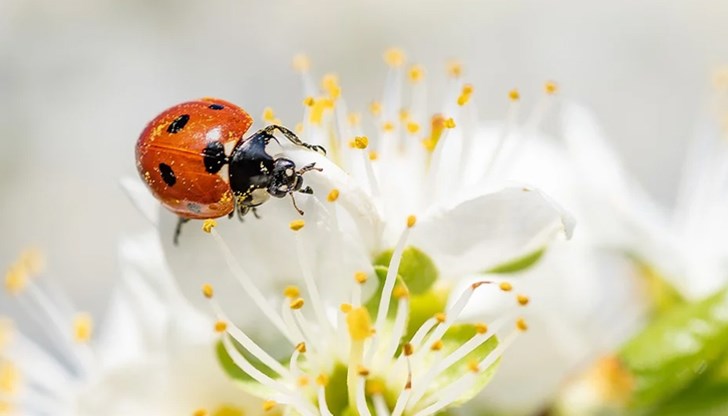 Рязко ще се повишат температурите, ще бъде много топло Рязко ще се повишат температурите, ще бъде много топло
