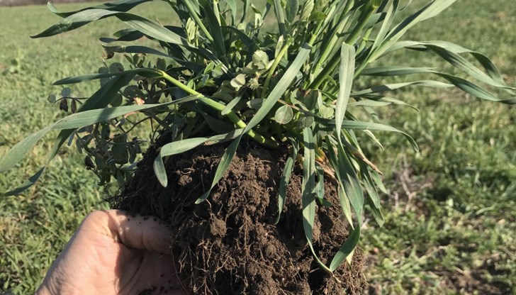 Опитът е проведен през сезон 2020-2021 г.