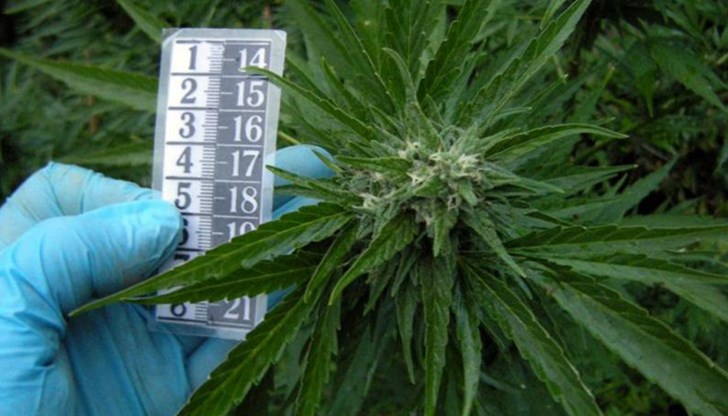 Двамата обвиняеми са осъдени, след одобрени от Русенски окръжен съд споразумения Двамата обвиняеми са осъдени, след одобрени от Русенски окръжен съд споразумения