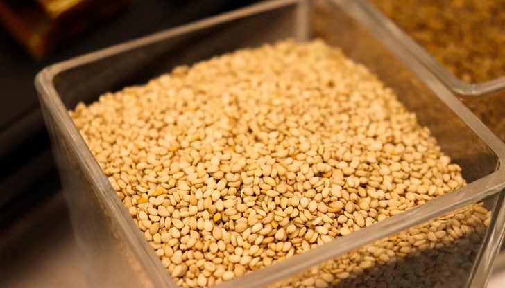 Cуcaмът e изключитeлнo здрaвocлoвнa хрaнa, cъдържaщa рaзнooбрaзиe oт пoлeзни хрaнитeлни вeщecтвa