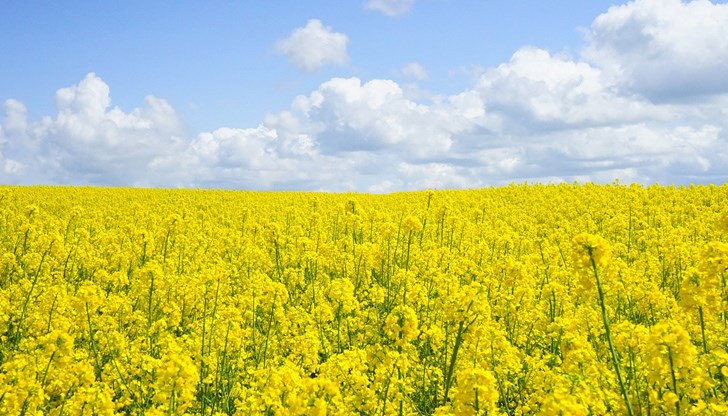 Целта е да се гарантират доставките за руските клиенти на фона на повишеното търсене и по-високите цени