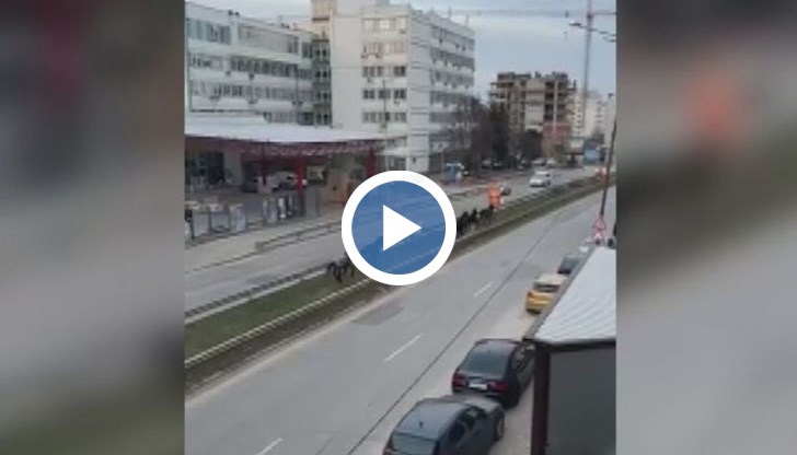 Институциите не успяват да се справят с проблема