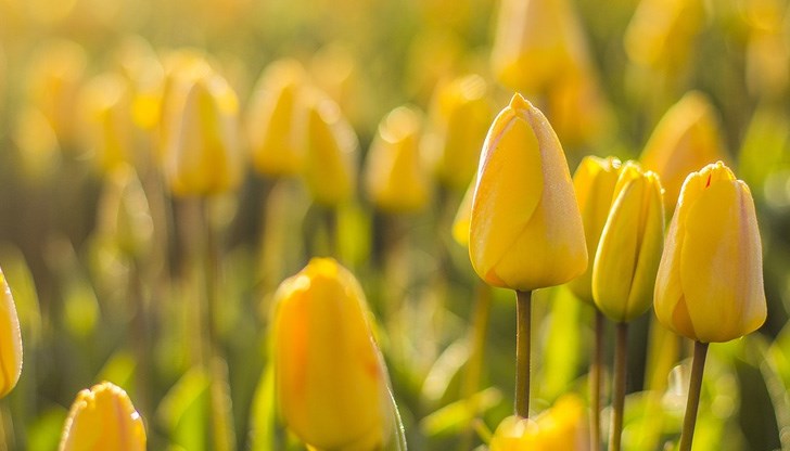 Това е и денят на пролетното равноденствие