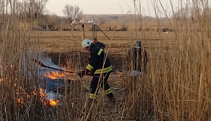 Пожари достигнаха почти до колонията от пеликани в Защитената местност