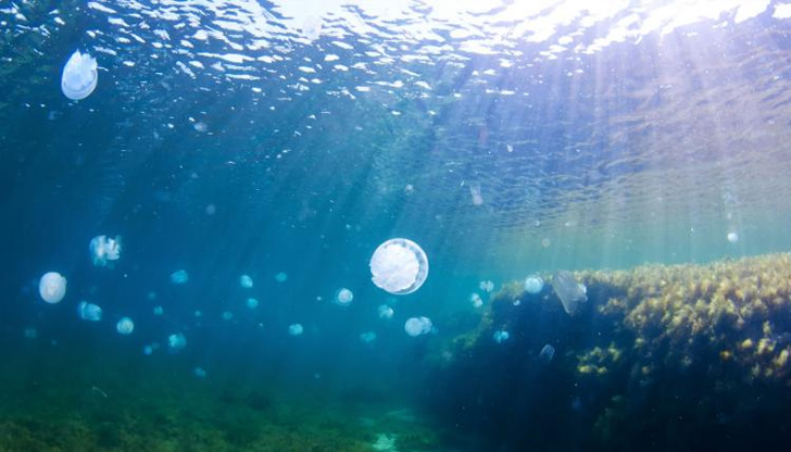 Според предупреждение, което е издало пристанището в Сочи, опасност надвисва