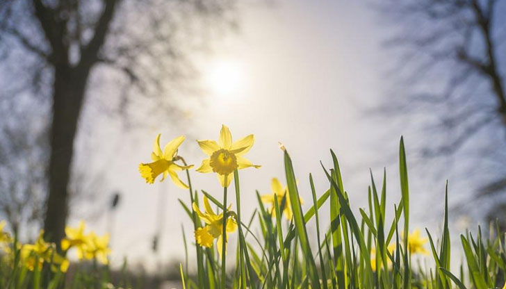 Ветровито, но и сравнително топло се задържа времето и днес