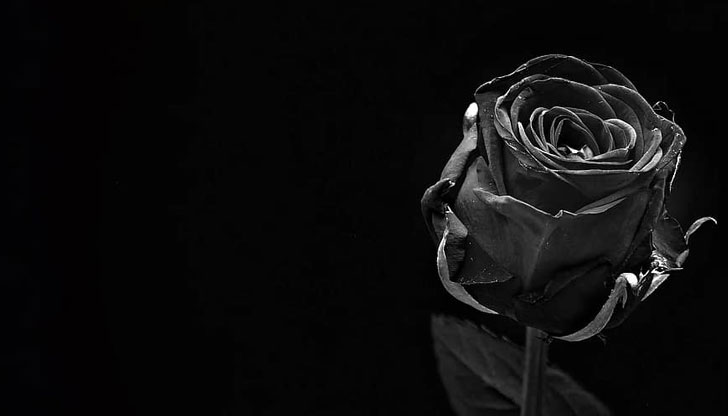 Почина основателят на Американския университет в България - Джон К.