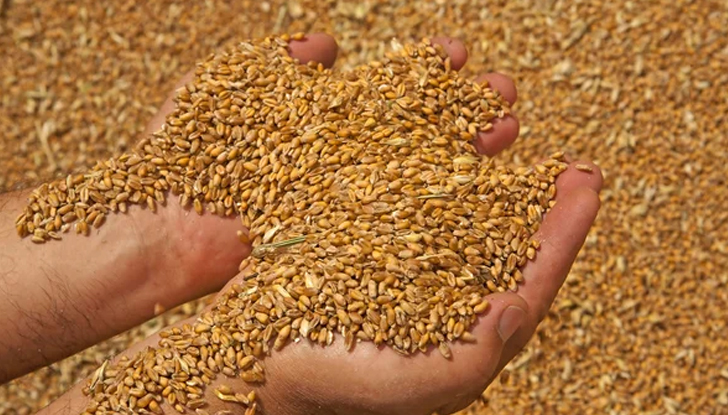 Тенденцията за повишаване на цените на храните ще продължи, смятат