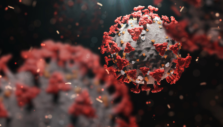 1333 са новите положителни тестове за коронавируса у нас за