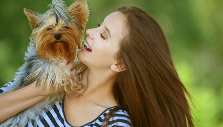 Йоркширският териер започнал да скача на гърдите на стопанката сиВъв