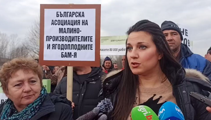 Производители на плодове и зеленчуци от цялата страна излязоха на