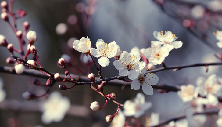 Атмосферното налягане слабо ще се понижи, но ще остане по-високо