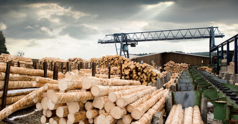 Шперплатът изчезна от българския пазар. Забрана за износ на дървесина