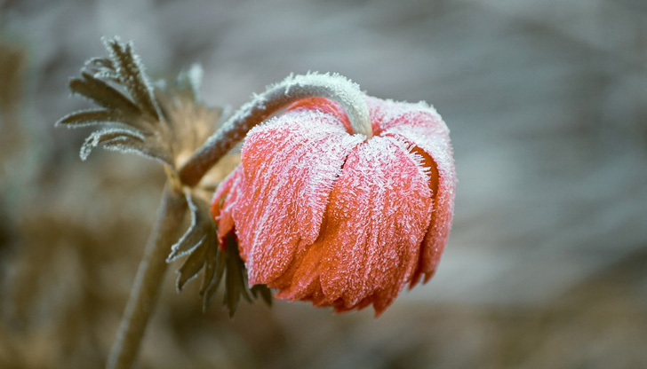 Минималните температури днес ще бъдат между минус 10&deg; и минус