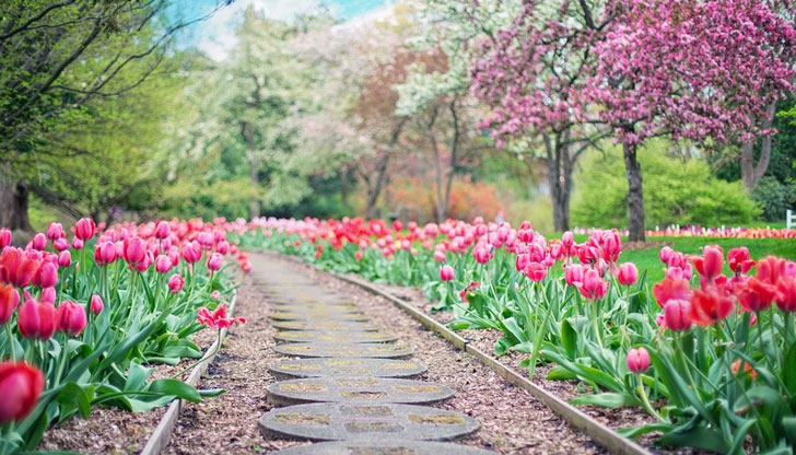 В планините също ще бъде слънчево и топлоСлънчево и топло