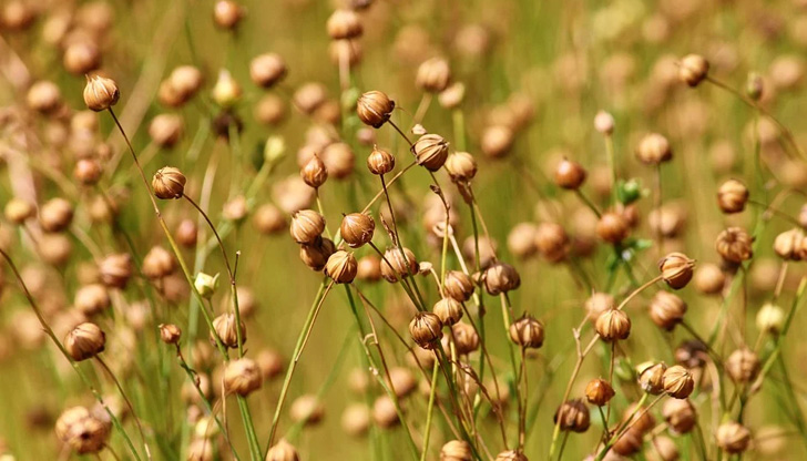 Ако спазвате принципите на правилното хранене, можете значително да усувуршенствате