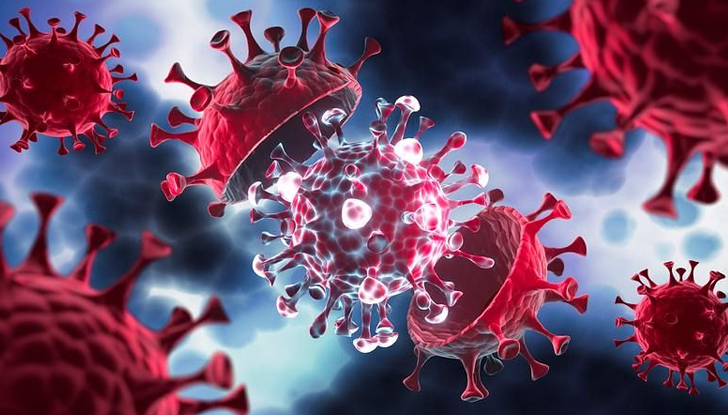 Този вариант още не е познат по света и двата