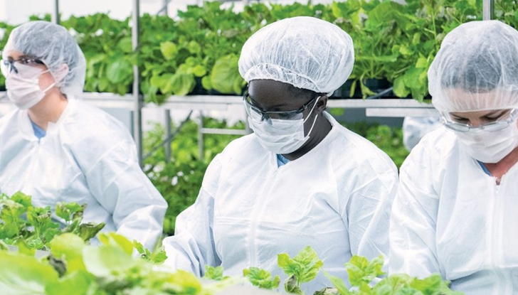 Първата в света ваксина срещу COVID-19 на растителна основа -