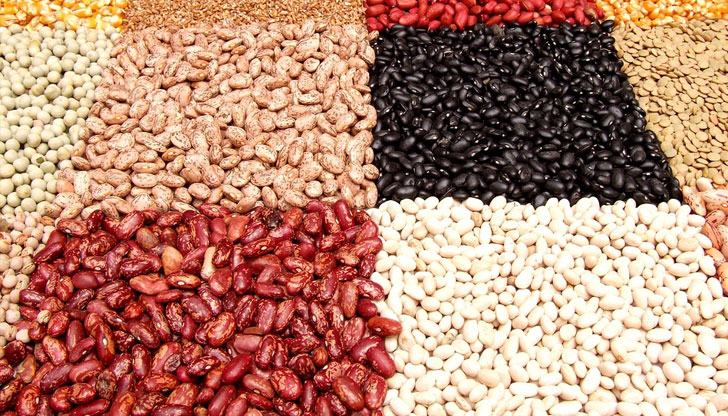 Мазната риба е една от полезните храниАмерикански диетолози назоваха продукти,